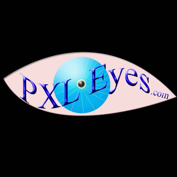 Creation of PXLeyes.com: Step 4